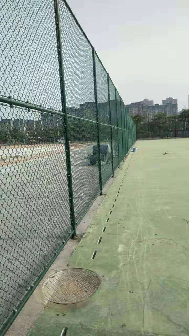 球场围网价格图片3