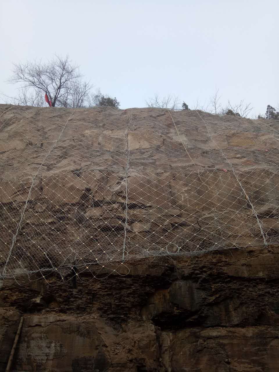 防护网-主动防护网图片2