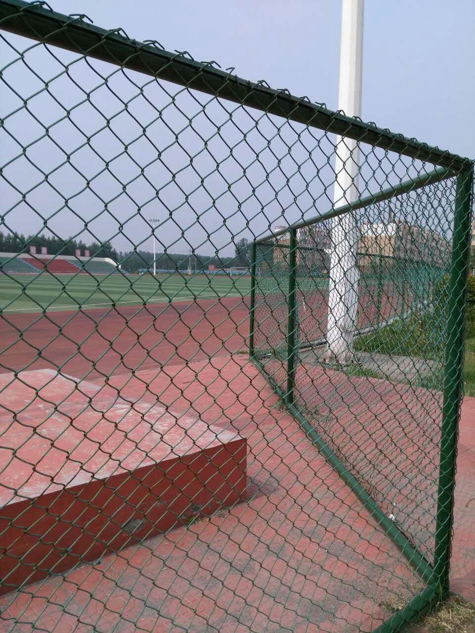 学校护栏网-集磊护栏网厂图片2