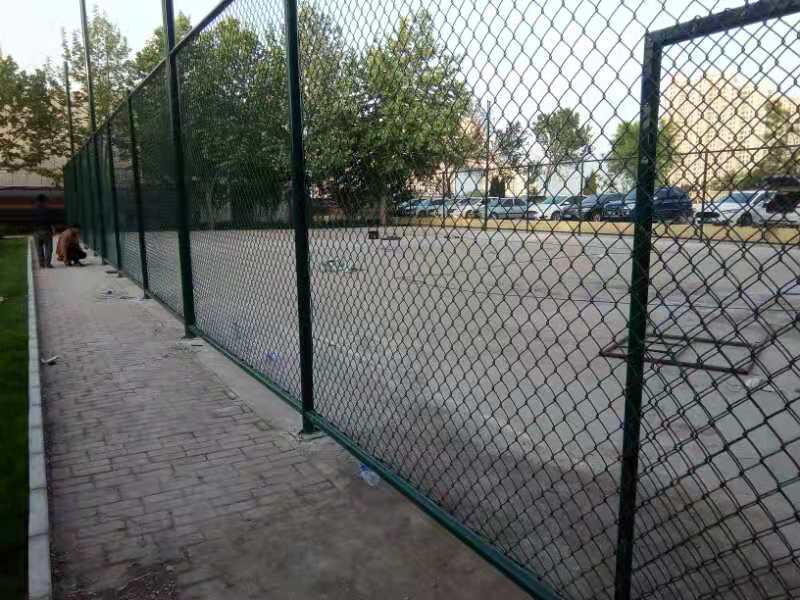 球场围网哪家好